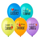1103-3177 Шар с рисунком 14" Я люблю Школу! 2цв
