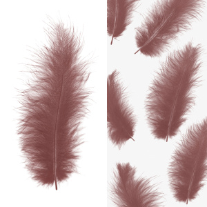 Перья, Премиум, Ретро Какао, 12-15 см, 30 шт., 6015545