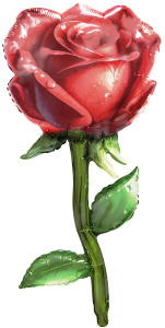 Шар (38''/97 см) Фигура, Роза, Красный, 1 шт., 26227