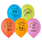 1103-3215 Шар с рисунком 14" С ДР Котики