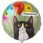1202-4259 К 18" РУС ДР Кот и воздушные шары