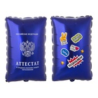 1207-6110 К ФИГУРА Аттестат