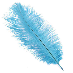 Перья Голубые 30шт