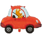 1207-6120 К ФИГУРА Котэ в машине