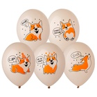 1103-3255 Шар с рисунком 14" С ДР Корги 2цв